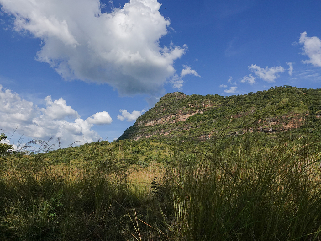 Jan Boelo and Elgon Safaris working at Pian Upe to set up Pian Upe Basecamp